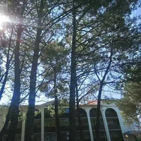 Biarritz-parme 3*