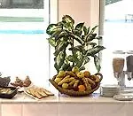 Hotel Biarritz-parme Anglet